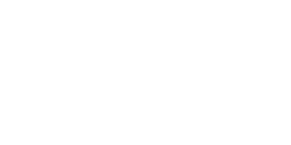 RLX-COLOR সলিউশন logo